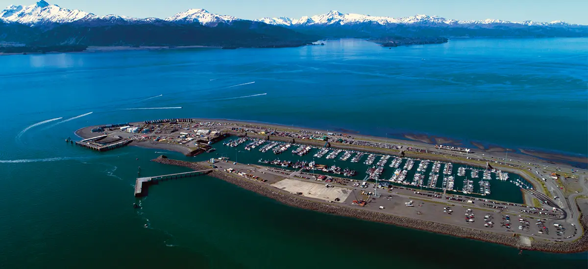 Homer Harbor filled with boats and fishing vessels