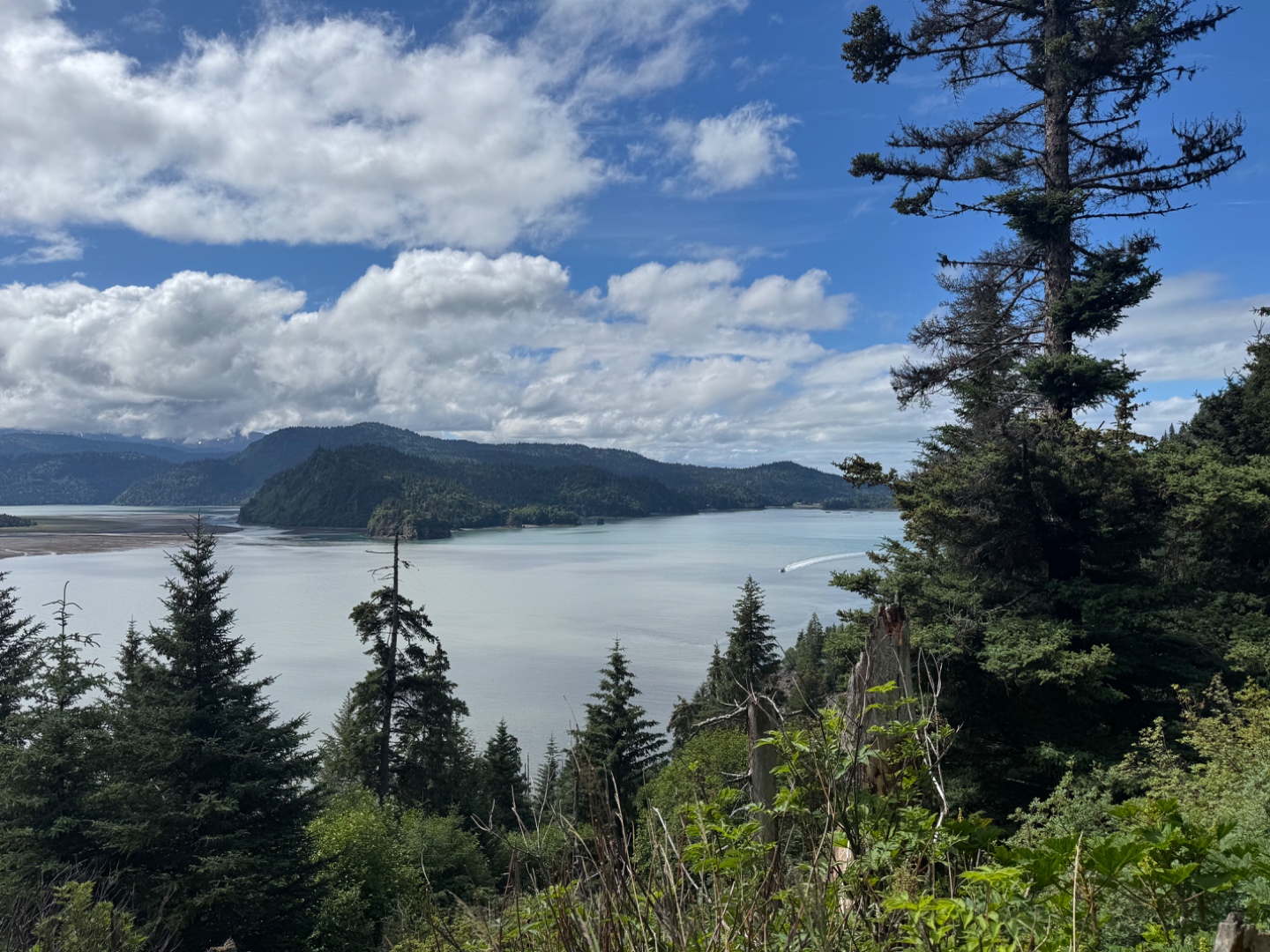 Kachemak Bay view from the Saddle Trail on the return route